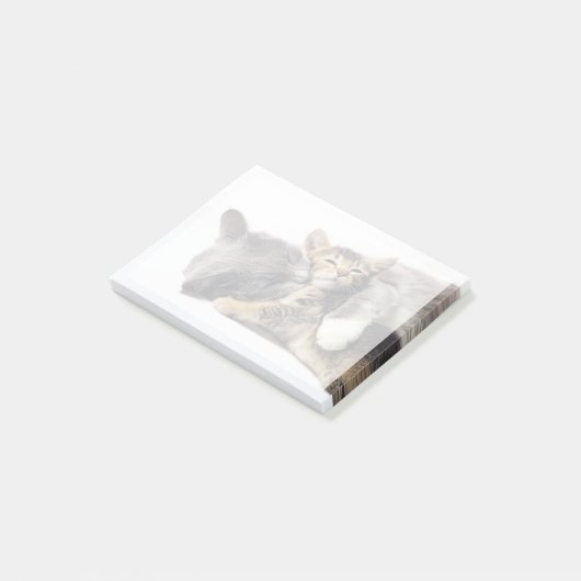 Kutest Baby Animals | Cute Kitten Hug Post-it® Notes (Schuin)