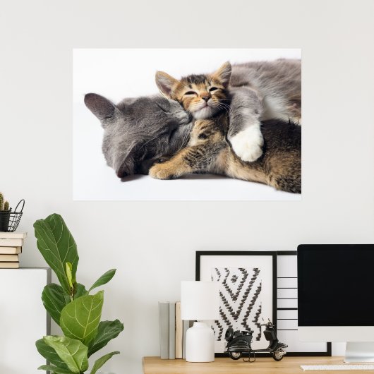 Kutest Baby Animals | Cute Kitten Hug Poster (Thuiskantoor)
