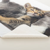 Kutest Baby Animals | Cute Kitten Hug Sherpa Deken (3/4)