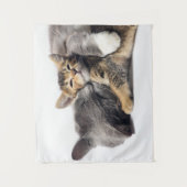 Kutest Baby Animals | Cute Kitten Hug Wandkleed (Voorkant)