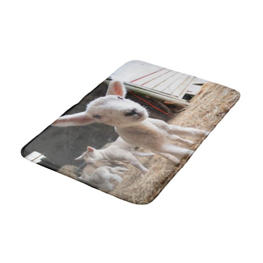 Kutest Baby Animals | Cute Lamb in een Boerderij Badmat (Gekanteld)