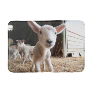 Kutest Baby Animals   Cute Lamb in een Boerderij Badmat