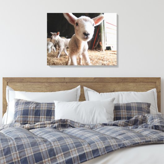 Kutest Baby Animals | Cute Lamb in een Boerderij Canvas Afdruk (Insitu (Slaapkamer))
