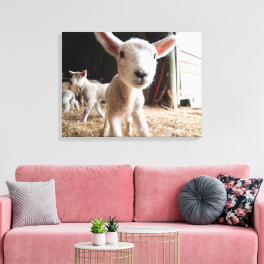 Kutest Baby Animals | Cute Lamb in een Boerderij Canvas Afdruk (Insitu (Woonkamer))