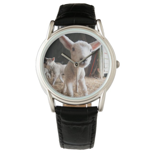 Kutest Baby Animals | Cute Lamb in een Boerderij Horloge (Voorkant)