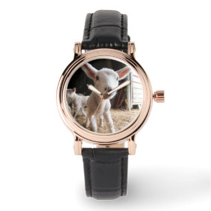 Kutest Baby Animals Cute Lamb in een Boerderij Horloge