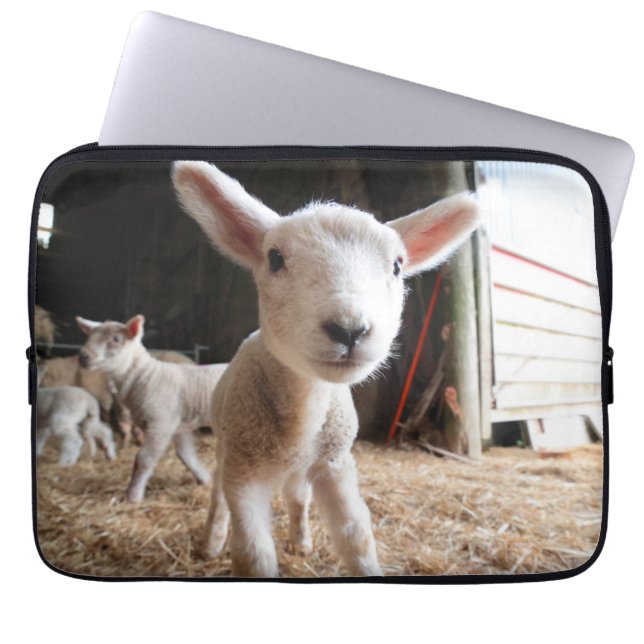 Kutest Baby Animals | Cute Lamb in een Boerderij Laptop Sleeve (Voorkant)