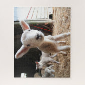 Kutest Baby Animals | Cute Lamb in een Boerderij Legpuzzel (Verticaal)