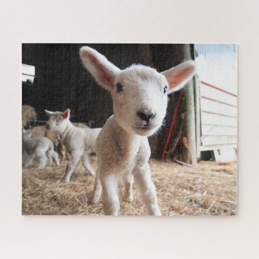 Kutest Baby Animals | Cute Lamb in een Boerderij Legpuzzel (Horizontaal)