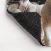 Kutest Baby Animals | Cute Lamb in een Boerderij Muismat (Hoek)