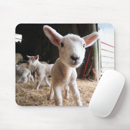 Kutest Baby Animals | Cute Lamb in een Boerderij Muismat (Met muis)