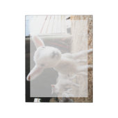 Kutest Baby Animals | Cute Lamb in een Boerderij Notitieblok (Linkerzijde)