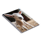 Kutest Baby Animals | Cute Lamb in een Boerderij Notitieboek (Rechterzijde)