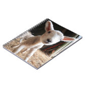 Kutest Baby Animals | Cute Lamb in een Boerderij Notitieboek (Linkerzijde)