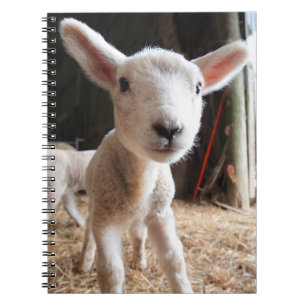 Kutest Baby Animals Cute Lamb in een Boerderij Notitieboek