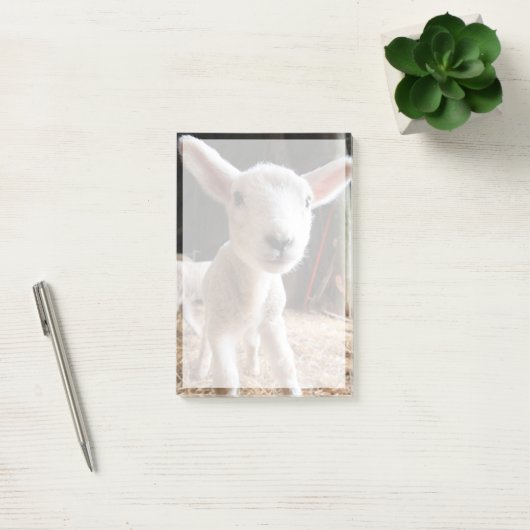 Kutest Baby Animals | Cute Lamb in een Boerderij Post-it® Notes (Kantoor)