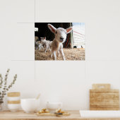 Kutest Baby Animals | Cute Lamb in een Boerderij Poster (Keuken)