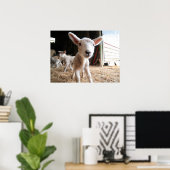 Kutest Baby Animals | Cute Lamb in een Boerderij Poster (Thuiskantoor)