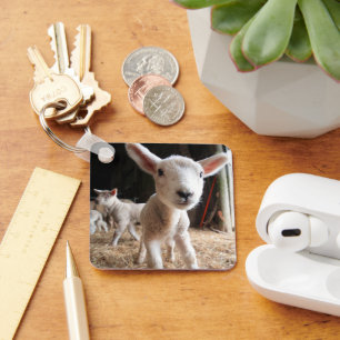 Kutest Baby Animals   Cute Lamb in een Boerderij Sleutelhanger
