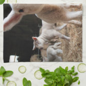 Kutest Baby Animals | Cute Lamb in een Boerderij Theedoek (Gevouwen)