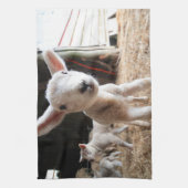 Kutest Baby Animals | Cute Lamb in een Boerderij Theedoek (Verticaal)