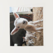 Kutest Baby Animals | Cute Lamb in een Boerderij Wandkleed (Voorkant)