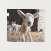 Kutest Baby Animals | Cute Lamb in een Boerderij Wandkleed (Voorkant (horizontaal))