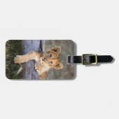 Kutest Baby Animals | Cute Lion Cub Bagagelabel (Voorkant horizontaal)