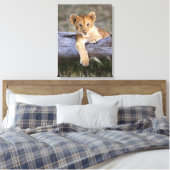 Kutest Baby Animals | Cute Lion Cub Canvas Afdruk (Insitu (Slaapkamer))