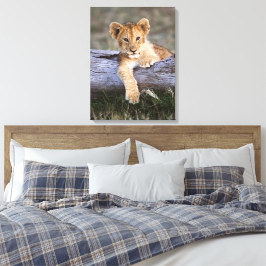 Kutest Baby Animals | Cute Lion Cub Canvas Afdruk (Insitu (Slaapkamer))