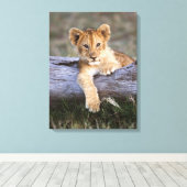 Kutest Baby Animals | Cute Lion Cub Canvas Afdruk (Insitu (Houten vloer))