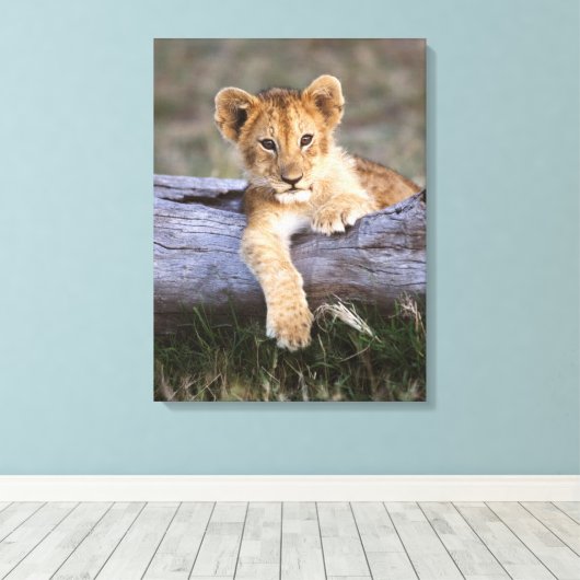 Kutest Baby Animals | Cute Lion Cub Canvas Afdruk (Insitu (Houten vloer))