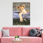 Kutest Baby Animals | Cute Lion Cub Canvas Afdruk (Insitu (Woonkamer))