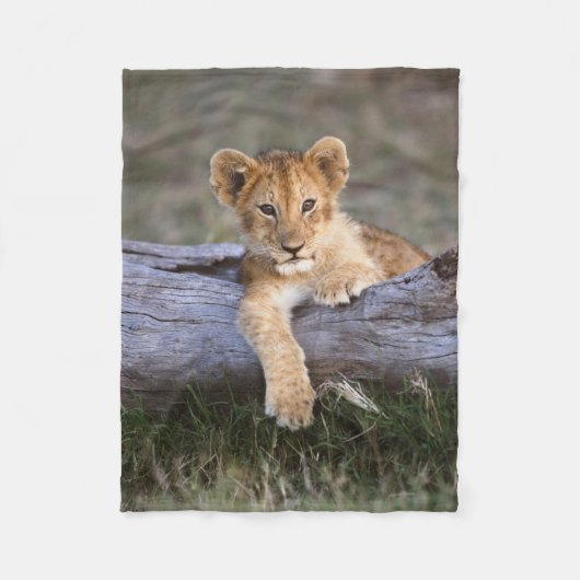 Kutest Baby Animals | Cute Lion Cub Fleece Deken (Voorkant)