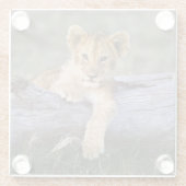 Kutest Baby Animals | Cute Lion Cub Glazen Onderzetter (Achterkant)