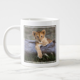 Kutest Baby Animals   Cute Lion Cub Grote Koffiekop