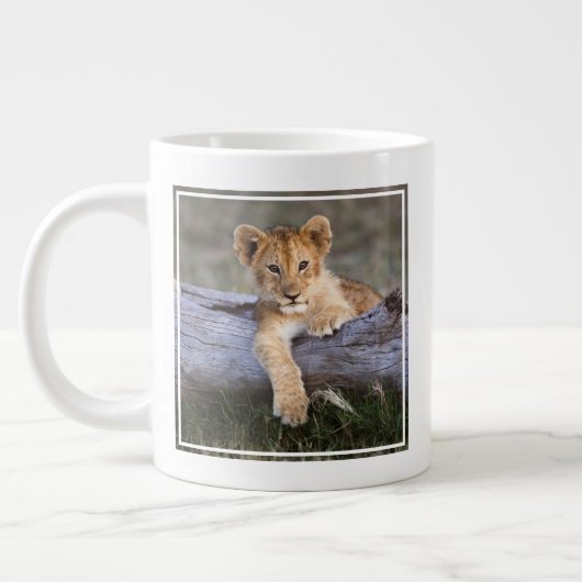 Kutest Baby Animals | Cute Lion Cub Grote Koffiekop (Links)