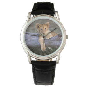 Kutest Baby Animals   Cute Lion Cub Horloge