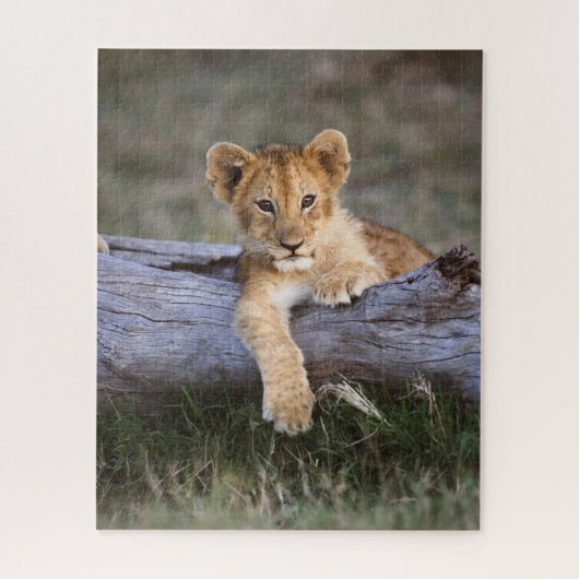 Kutest Baby Animals | Cute Lion Cub Legpuzzel (Verticaal)