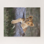 Kutest Baby Animals | Cute Lion Cub Legpuzzel (Horizontaal)