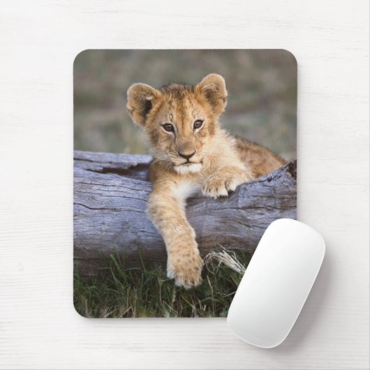 Kutest Baby Animals | Cute Lion Cub Muismat (Met muis)