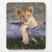 Kutest Baby Animals | Cute Lion Cub Muismat (Voorkant)