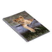 Kutest Baby Animals | Cute Lion Cub Notitieboek (Rechterzijde)