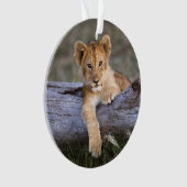 Kutest Baby Animals | Cute Lion Cub Ornament (voorkant)