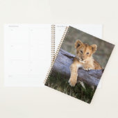 Kutest Baby Animals | Cute Lion Cub Planner (Display)