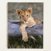 Kutest Baby Animals | Cute Lion Cub Planner (Voorkant)