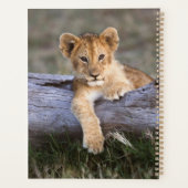 Kutest Baby Animals | Cute Lion Cub Planner (Achterkant)