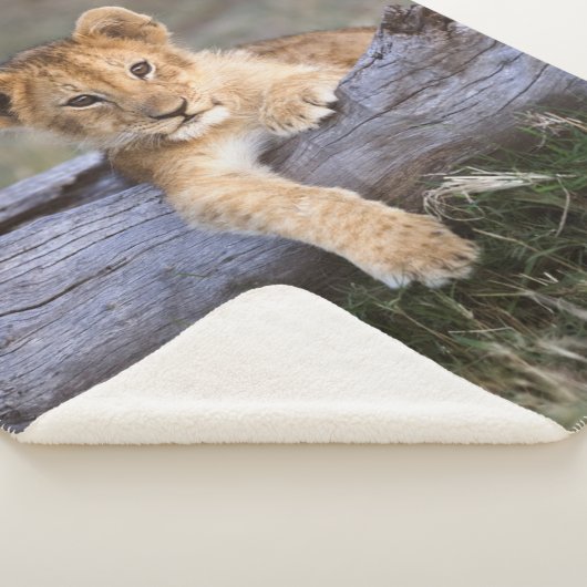 Kutest Baby Animals | Cute Lion Cub Sherpa Deken (3/4)