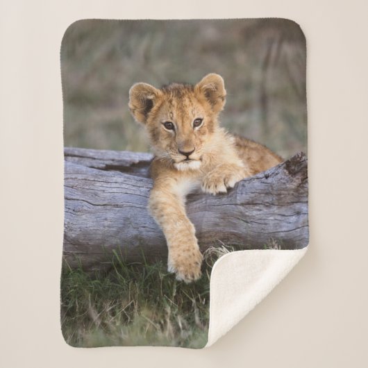 Kutest Baby Animals | Cute Lion Cub Sherpa Deken (Voorkant)