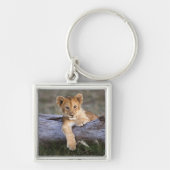 Kutest Baby Animals | Cute Lion Cub Sleutelhanger (Voorkant)